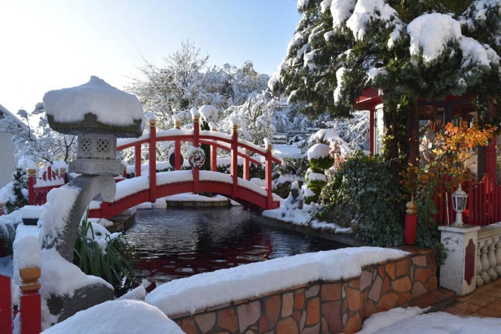 Gite Au Printemps Japonais, Petit Train De La Mure, Parc Des Ecrins Pierre-Chatel Exterior foto